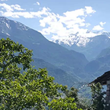 Ibiscus Villeneuve